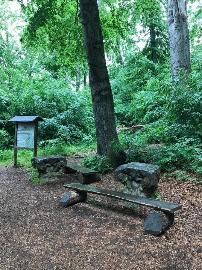Ferienwohnung Morgensonne Am Kurpark Bad Berka - Parkplatz - Spielplatz - Wlan - 2 Schlafzimmer Esterno foto