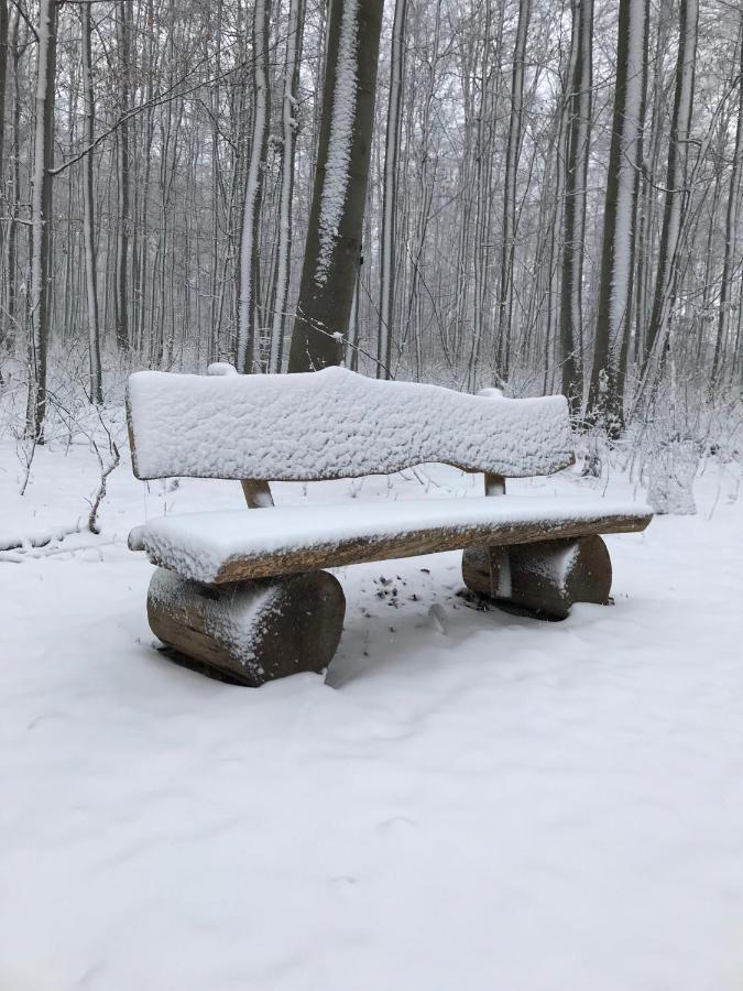 Ferienwohnung Morgensonne Am Kurpark Bad Berka - Parkplatz - Spielplatz - Wlan - 2 Schlafzimmer Esterno foto
